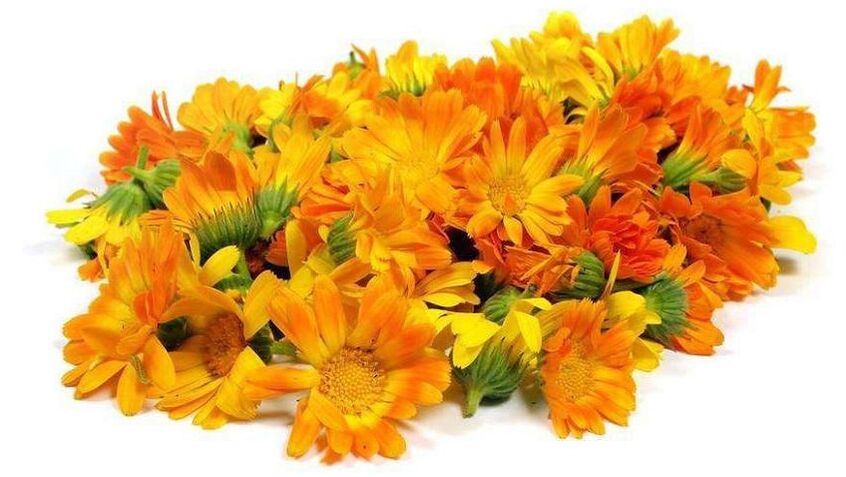 Calendula -extract in Promicil